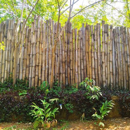 Casa Magica Villa มินกา ภายนอก รูปภาพ