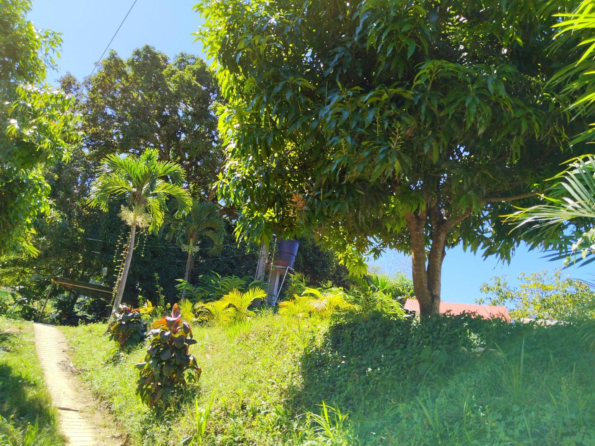 Casa Magica Villa มินกา ภายนอก รูปภาพ